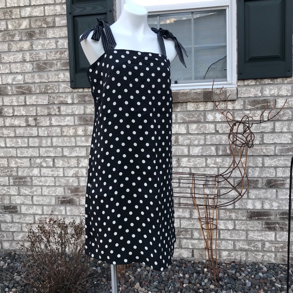J.Crew Blue Navy Tie Straps Polka Dots Dress